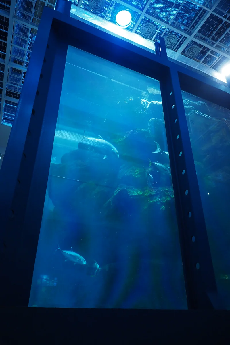 投稿写真：無骨な水槽