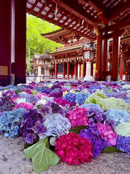 投稿：太宰府天満宮 紫陽花の花手水