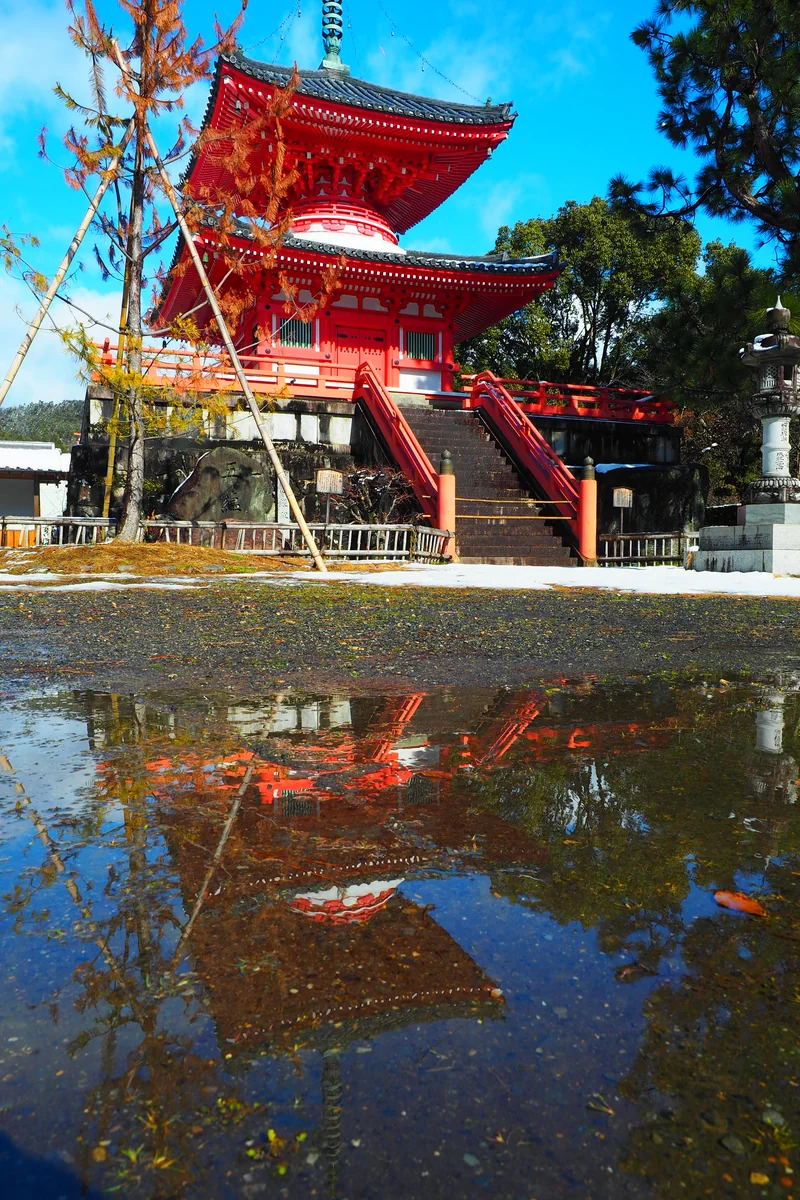 投稿写真：雪解けの水たまり