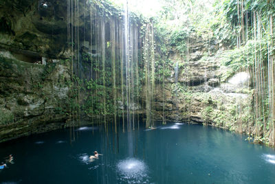 投稿：イクキルのセノーテ