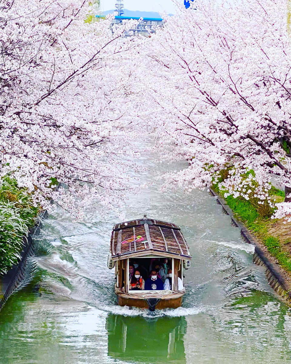 投稿写真：伏見十石船