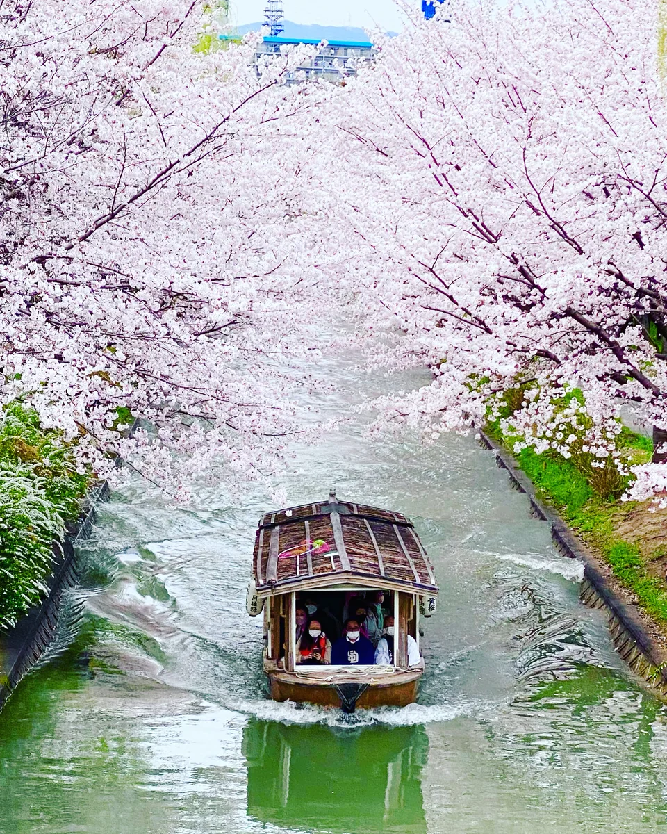 投稿写真：伏見十石船