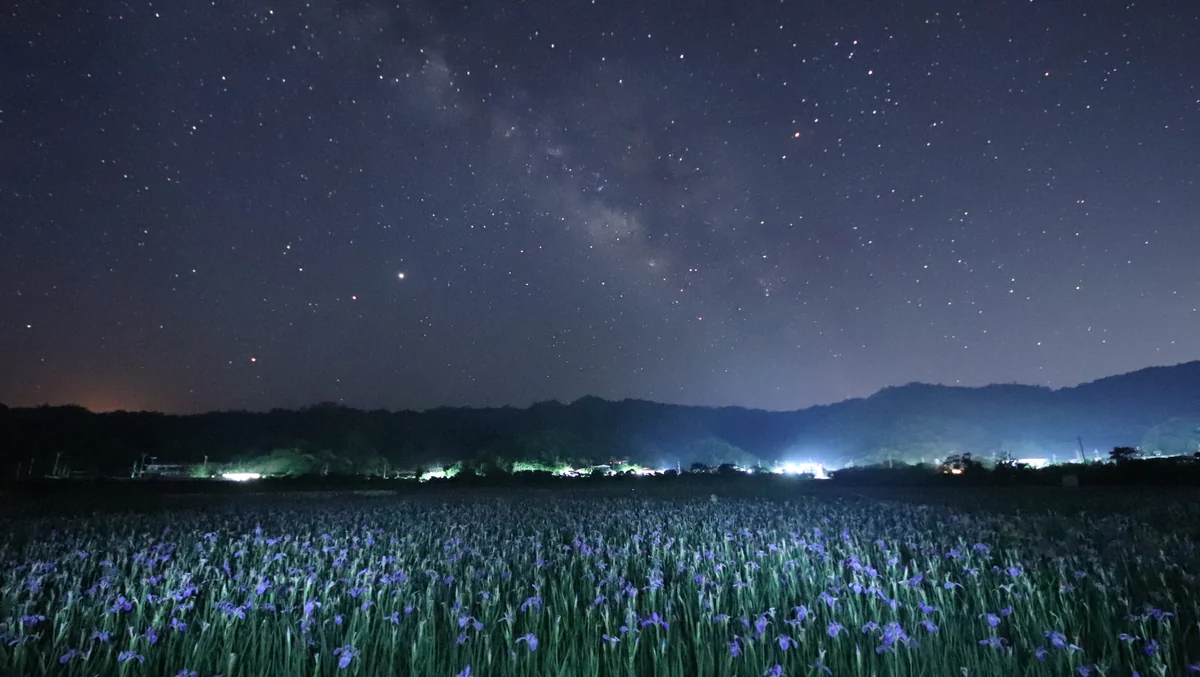 投稿写真：オクラレルカと天の川