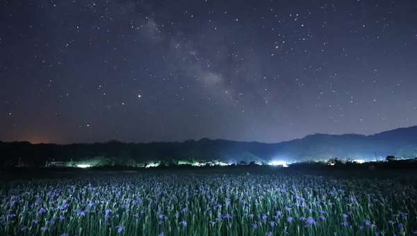 投稿：オクラレルカと天の川