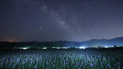  | 絶景事典