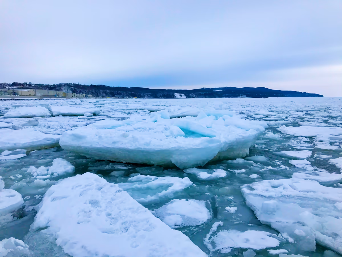 投稿写真：流氷ウォーク