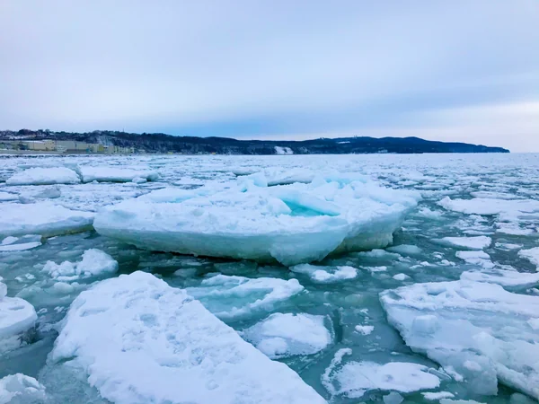 投稿：流氷ウォーク
