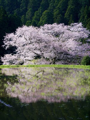  | 絶景事典