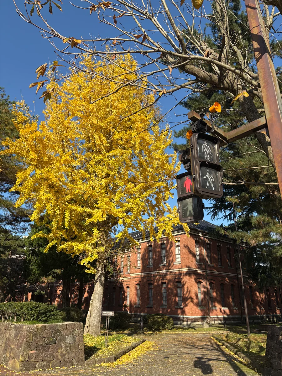 投稿写真：金沢市の紅葉