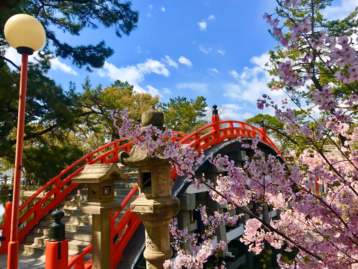 投稿写真：住吉大社(反橋)