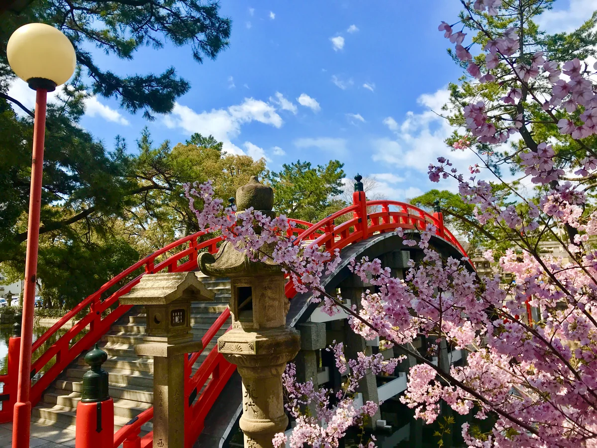 投稿写真：住吉大社(反橋)