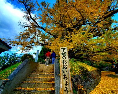  | 絶景事典