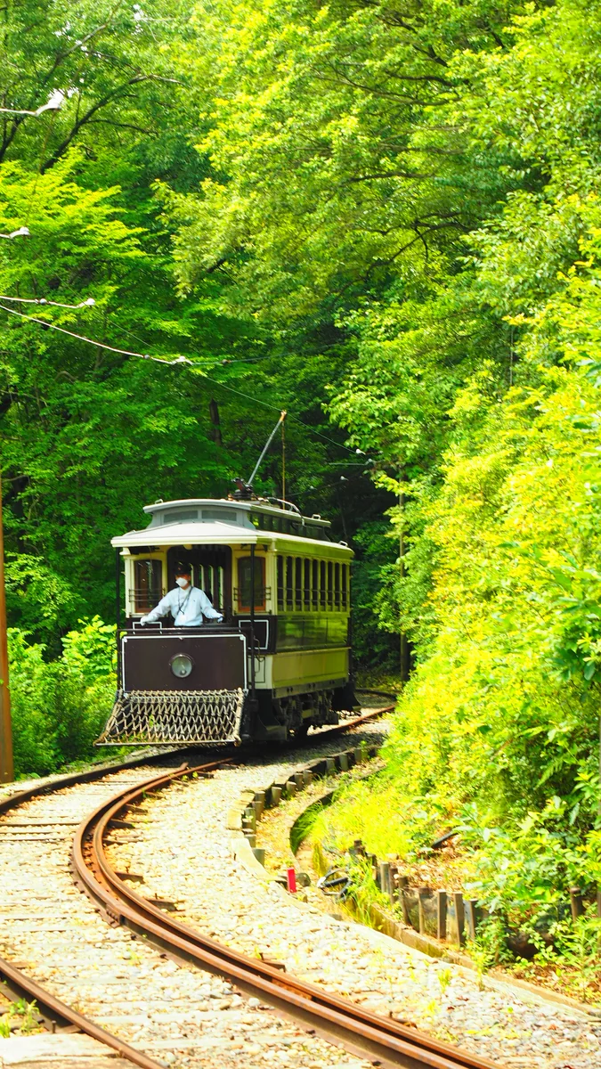 投稿写真：京都市電