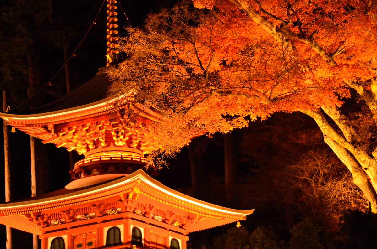 投稿写真：勝尾寺　秋の夜長