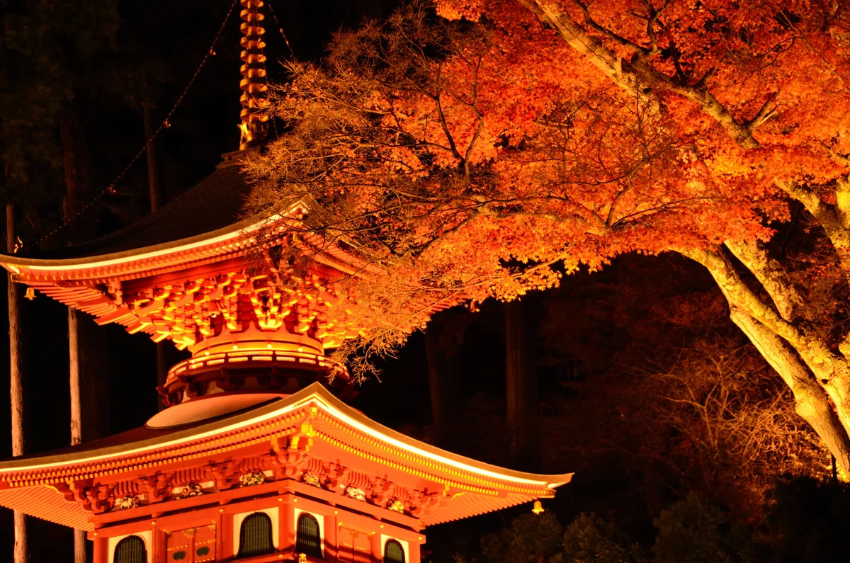 投稿写真：勝尾寺　秋の夜長