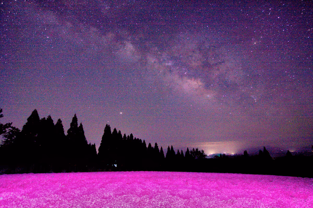 投稿写真：芝桜と天の川