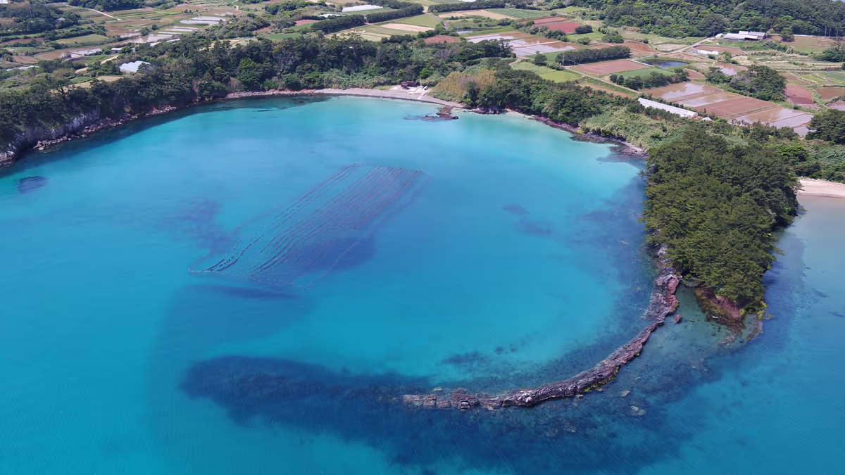 投稿写真：長崎県北松浦郡小値賀町❗