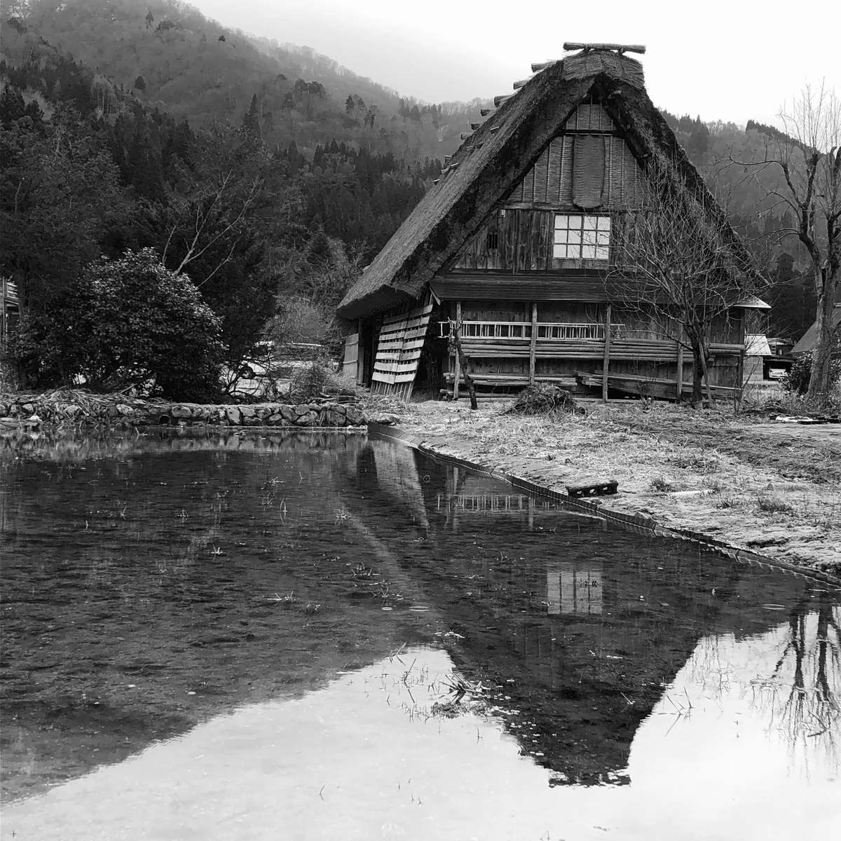 投稿写真：白川郷