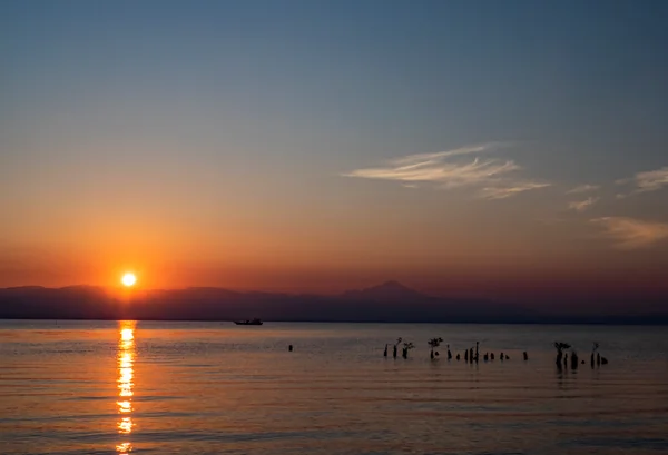 投稿：暁の出漁2022