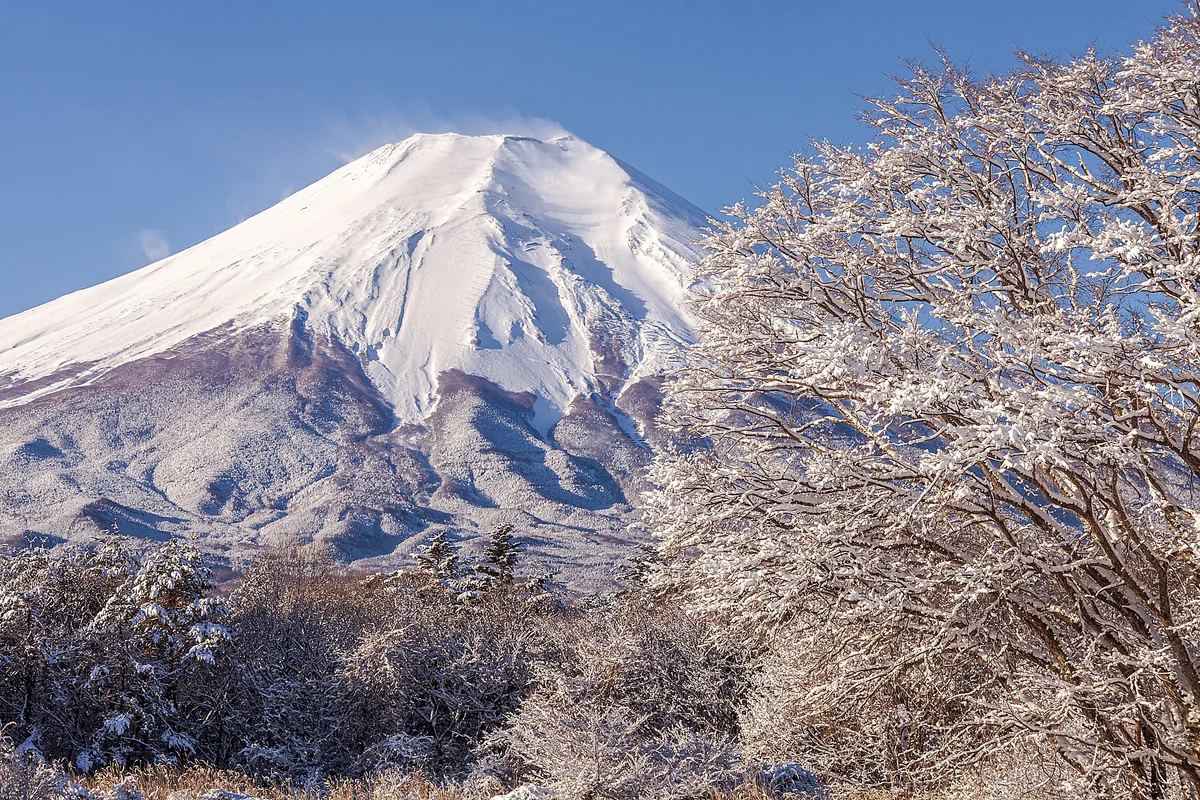 投稿写真：降雪の朝