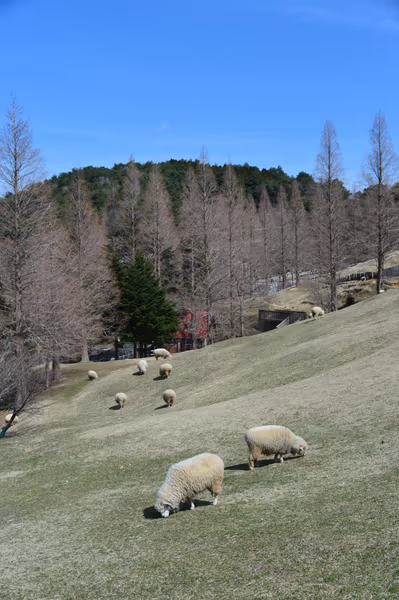 投稿：六甲山牧場