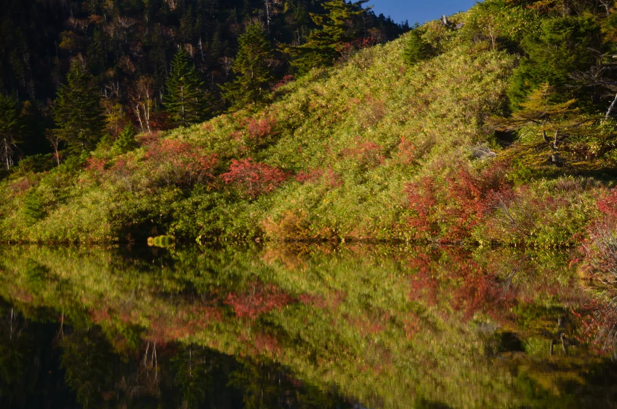 投稿写真：草津白根山　弓池　秋映