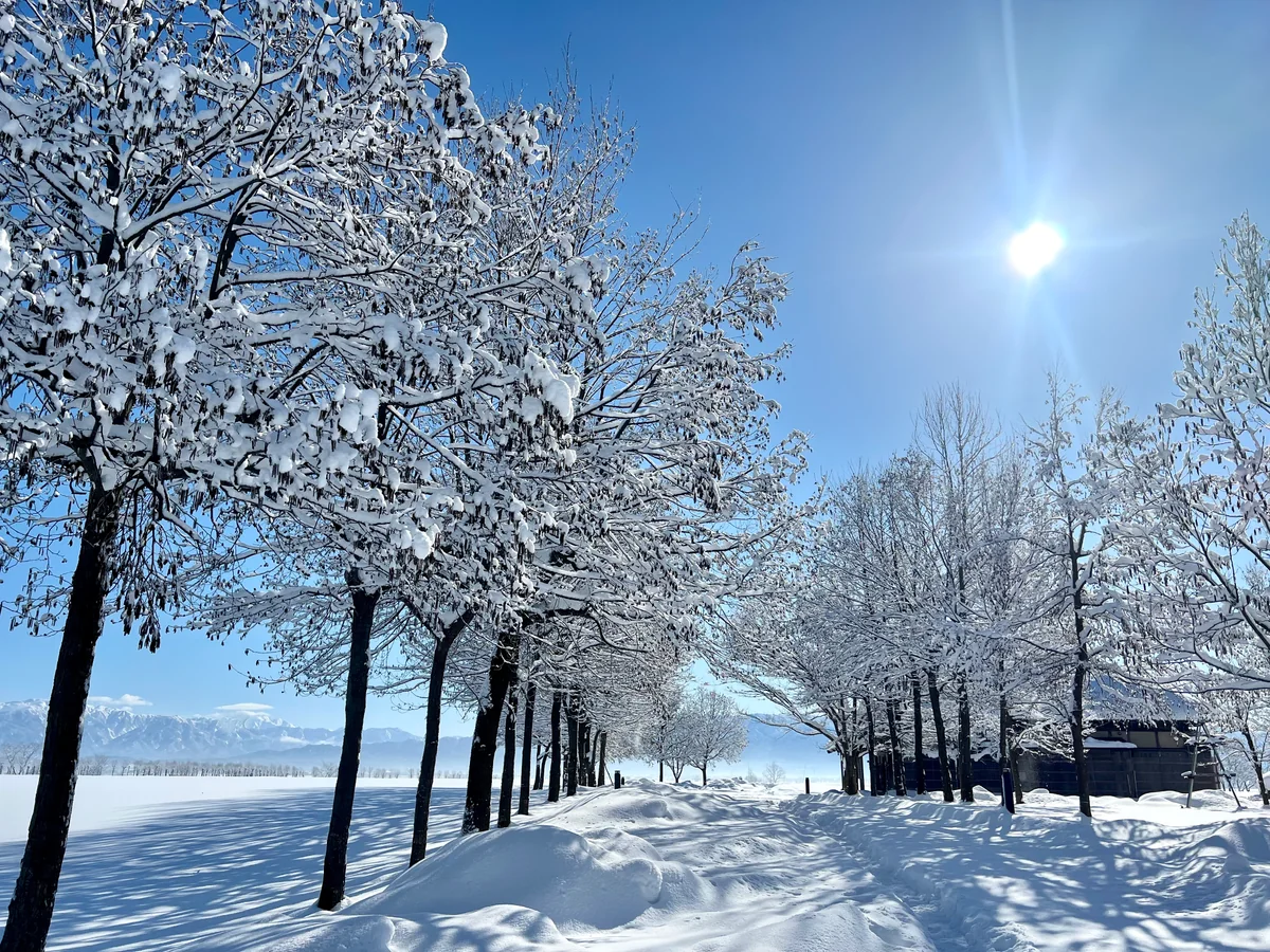 投稿写真：冬の福島潟