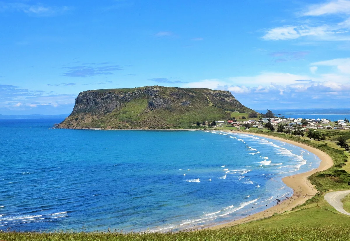 投稿写真：スタンレーの　The Nuts