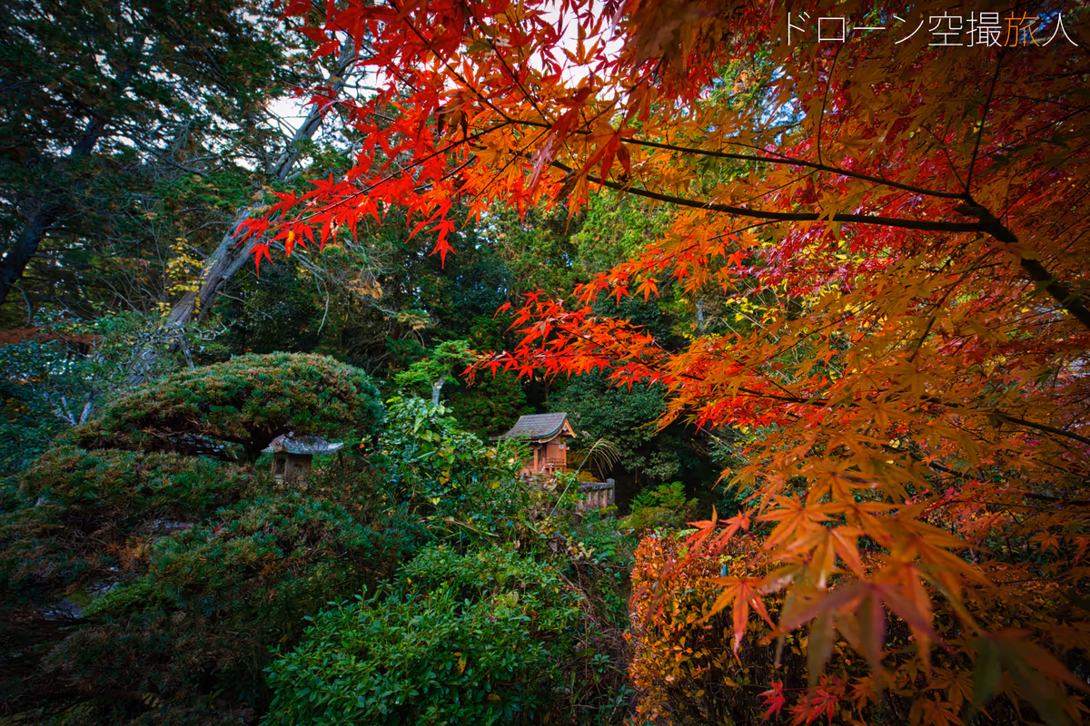 投稿写真：龍潭寺付近
