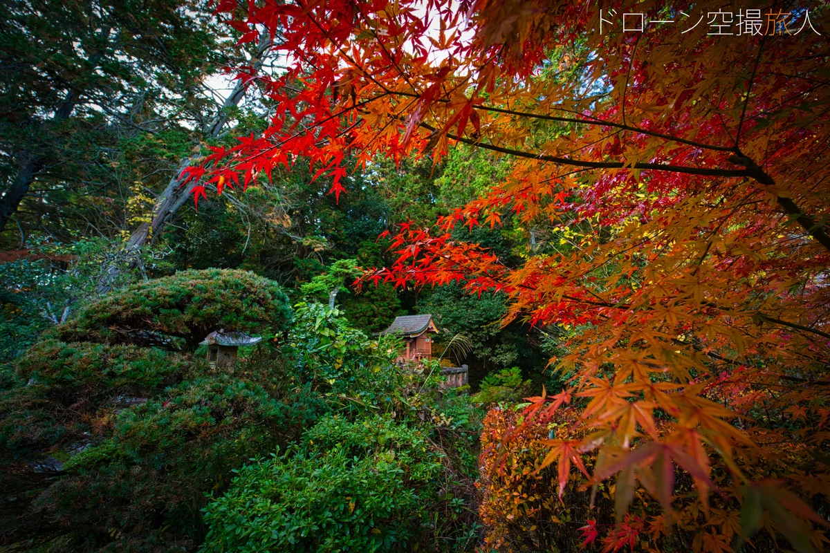 投稿写真：龍潭寺付近