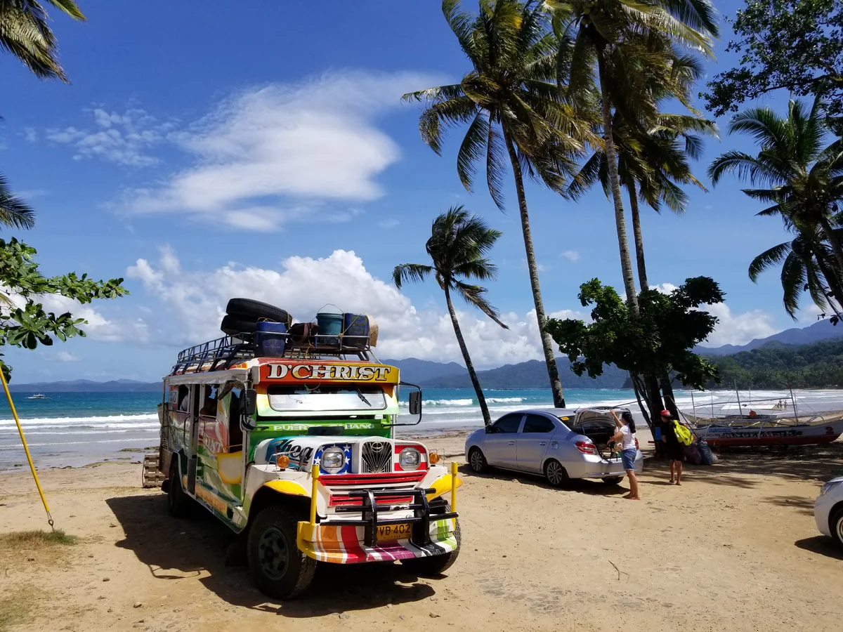 投稿写真：サバ