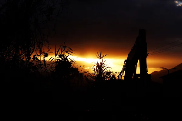 投稿：福岡市の初日の出
