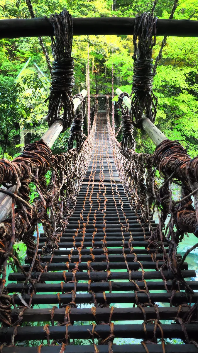 鬼瓦　鉄五郎さんの投稿写真