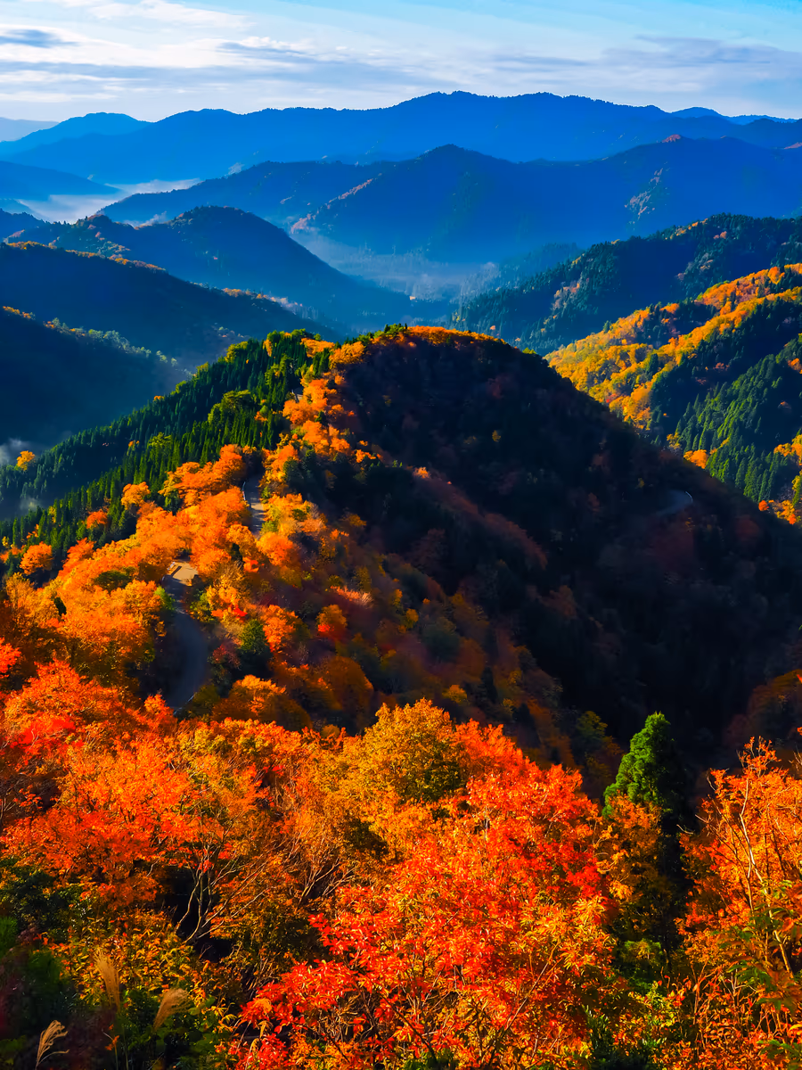 投稿写真：晩秋小入谷の紅葉　Part2