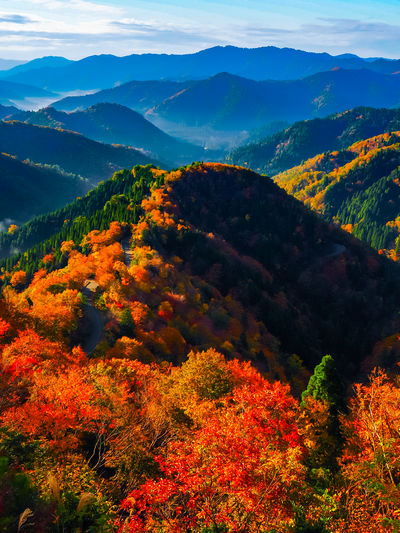  | 絶景事典