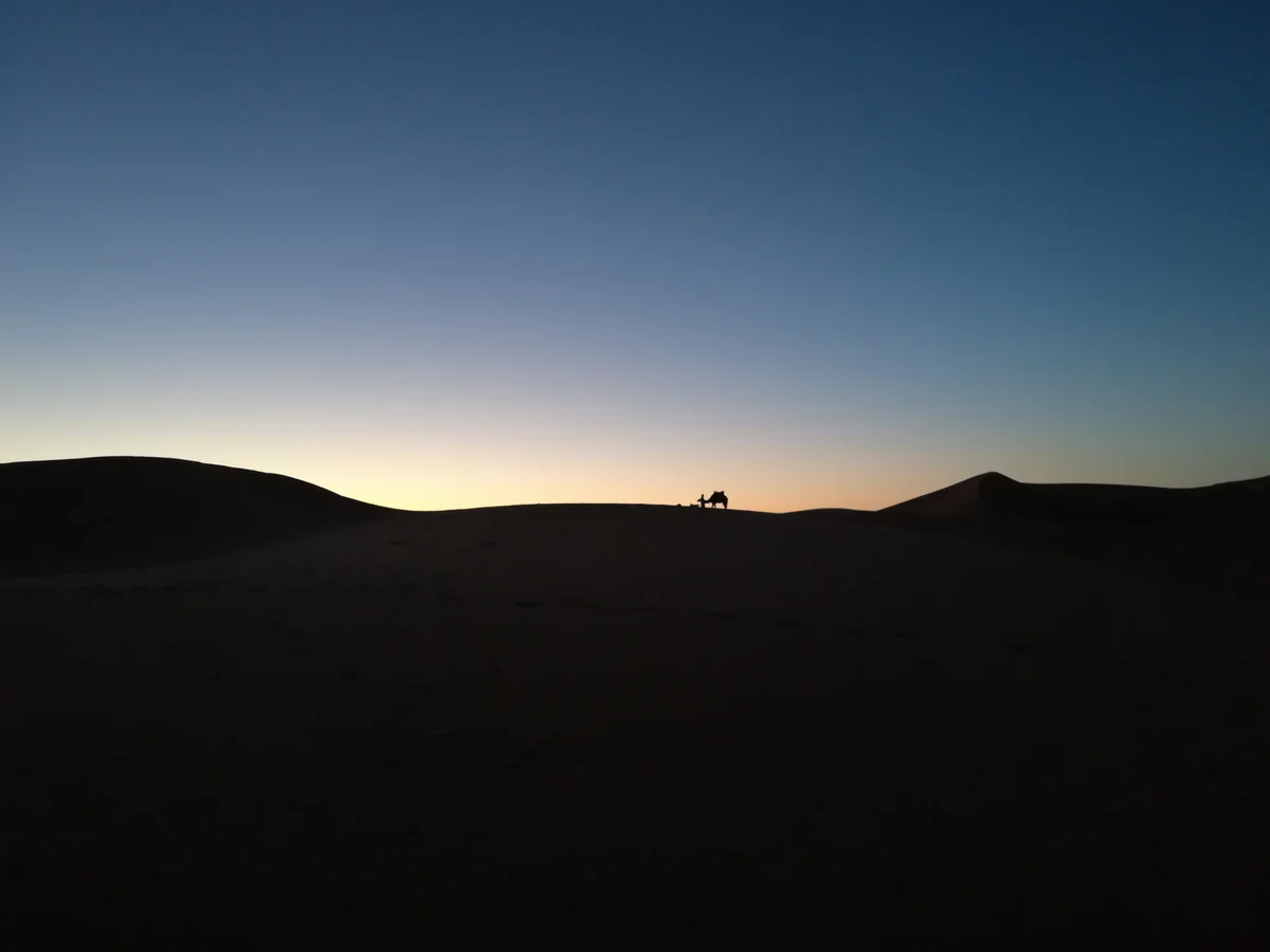 投稿写真：サハラ砂漠とラクダ