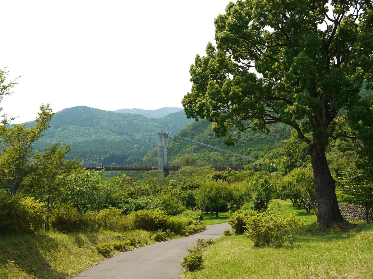 投稿写真：みどり