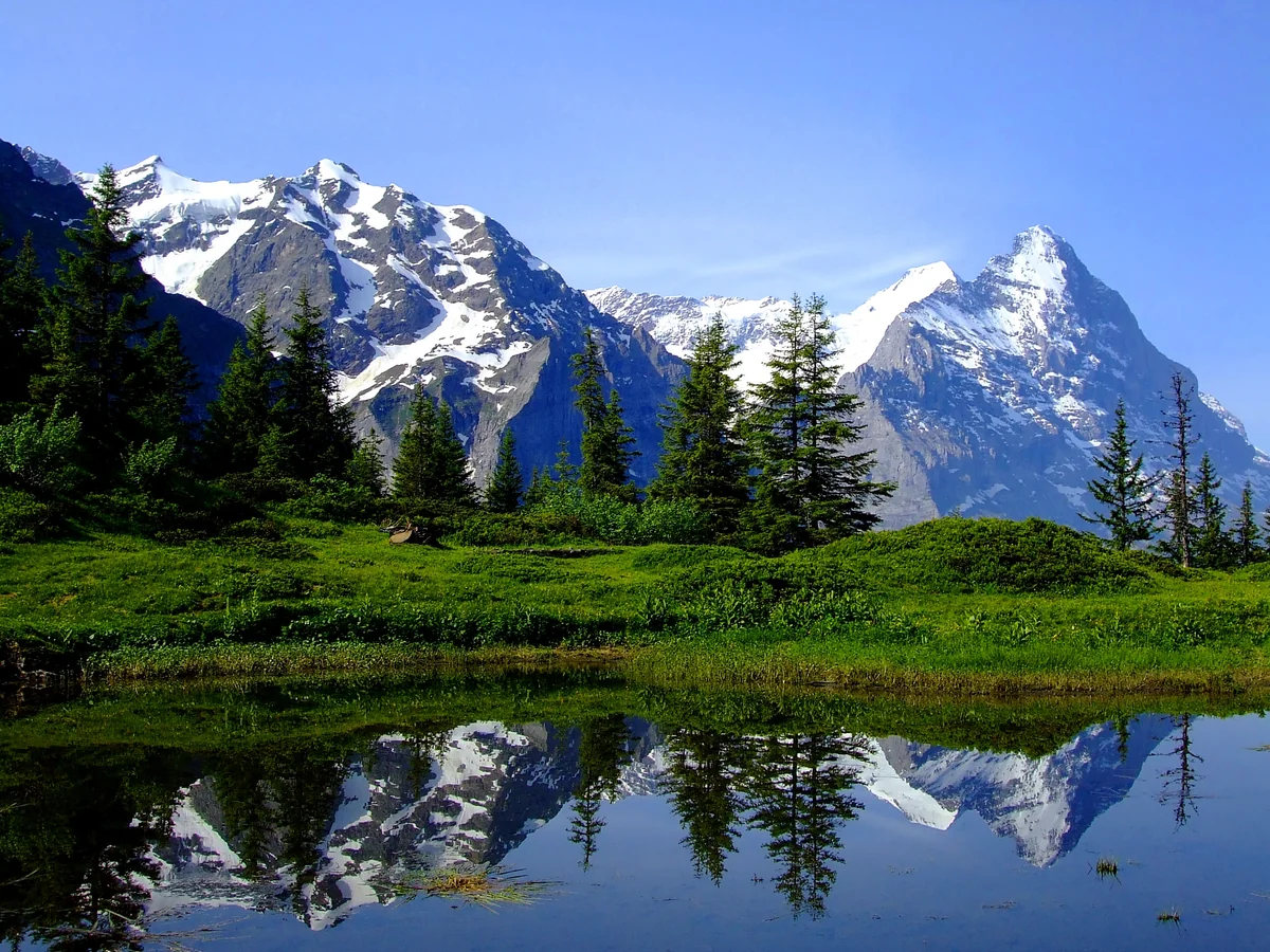 投稿写真：スイス、夢ふたたび