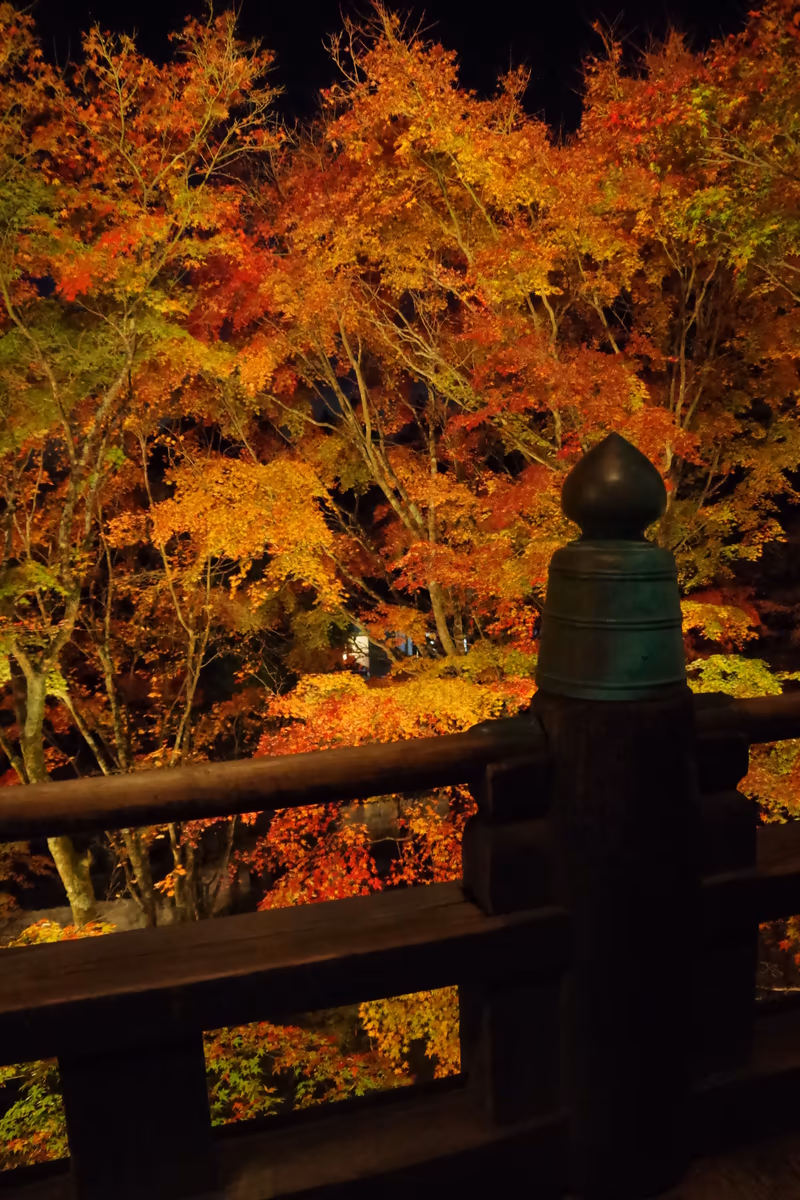 投稿写真：晩秋の播州清水寺