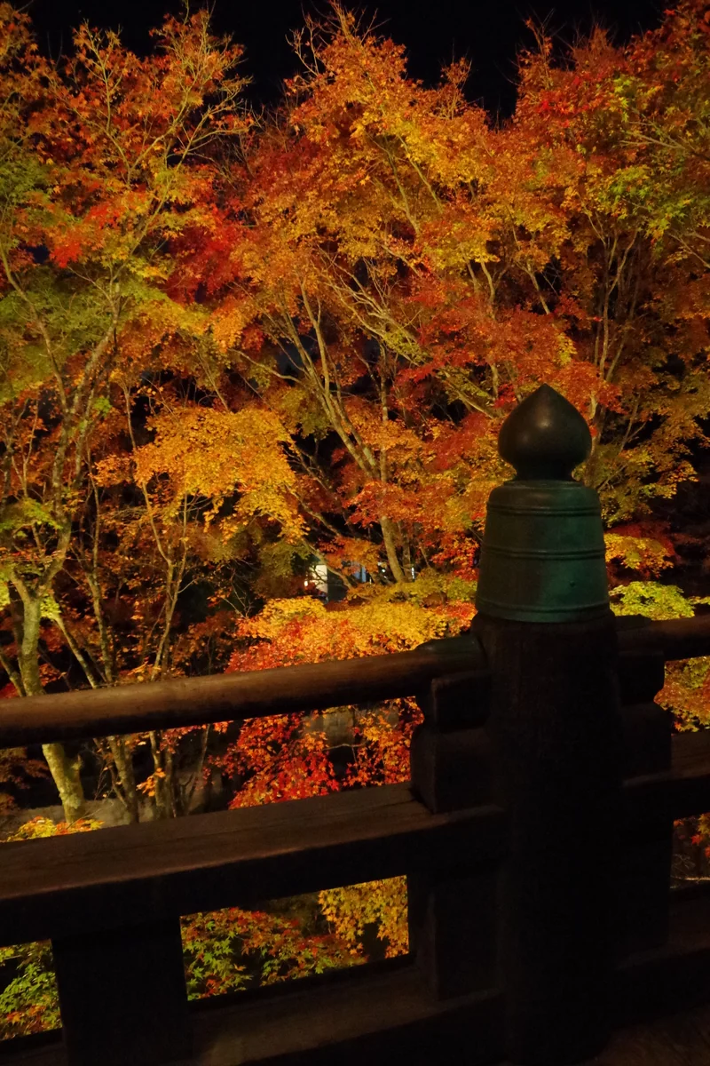 投稿写真：晩秋の播州清水寺