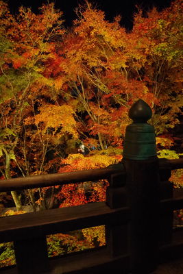  | 絶景事典