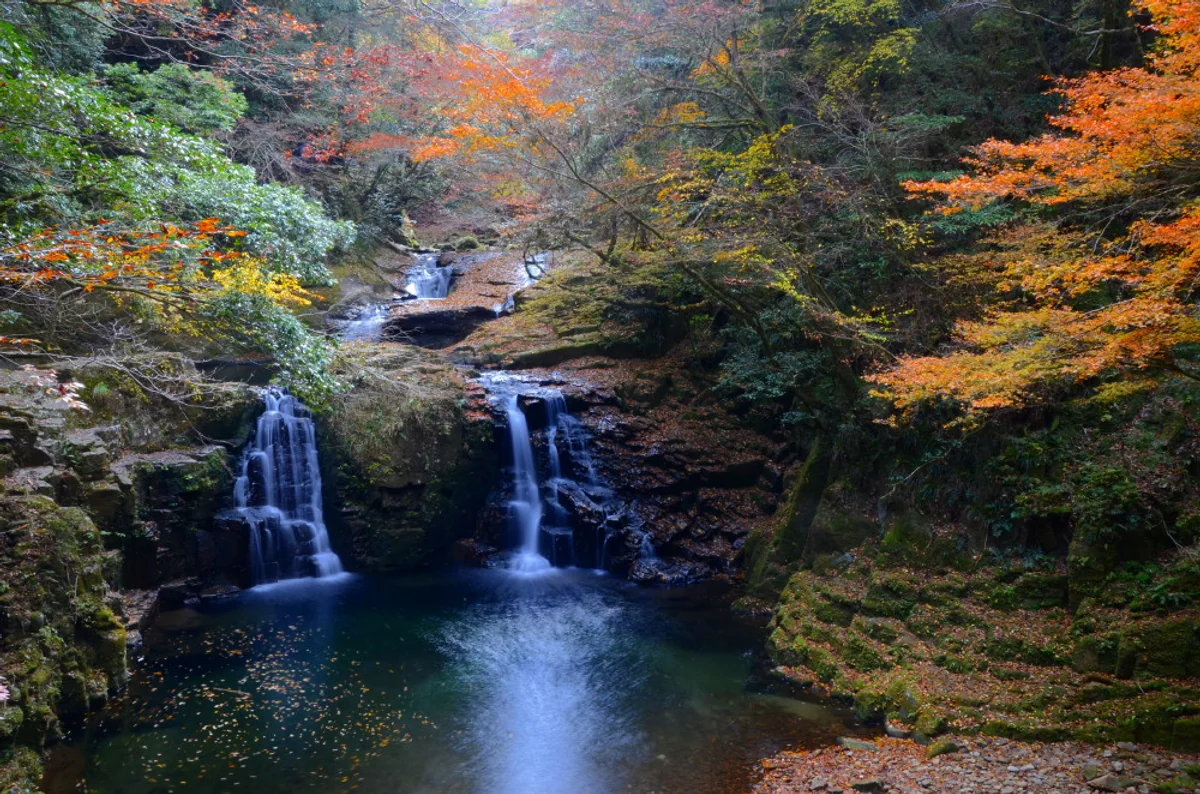 投稿写真：秋の渓谷