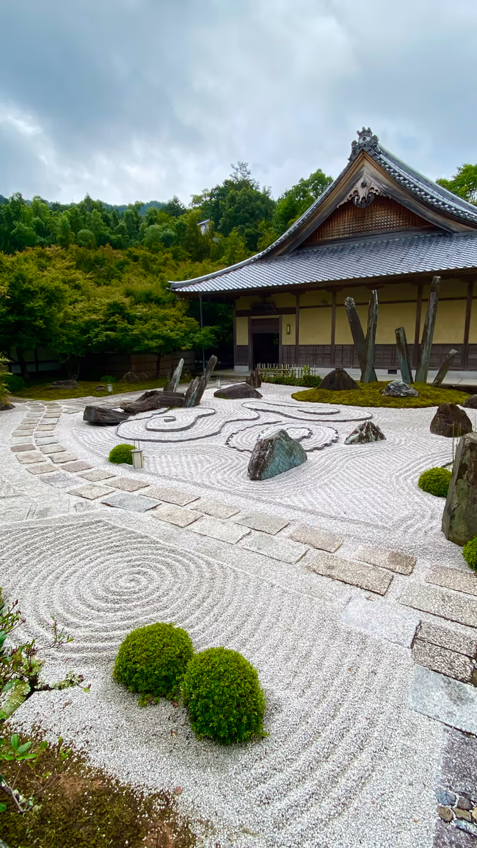 投稿写真：龍が出迎えてくれる名刹 圓光寺「奔龍庭」
