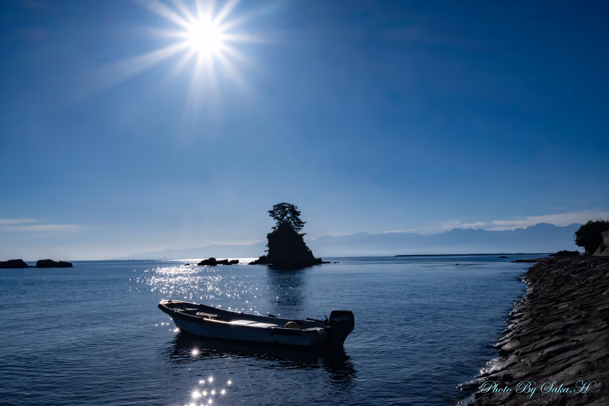 投稿写真：光浴びて