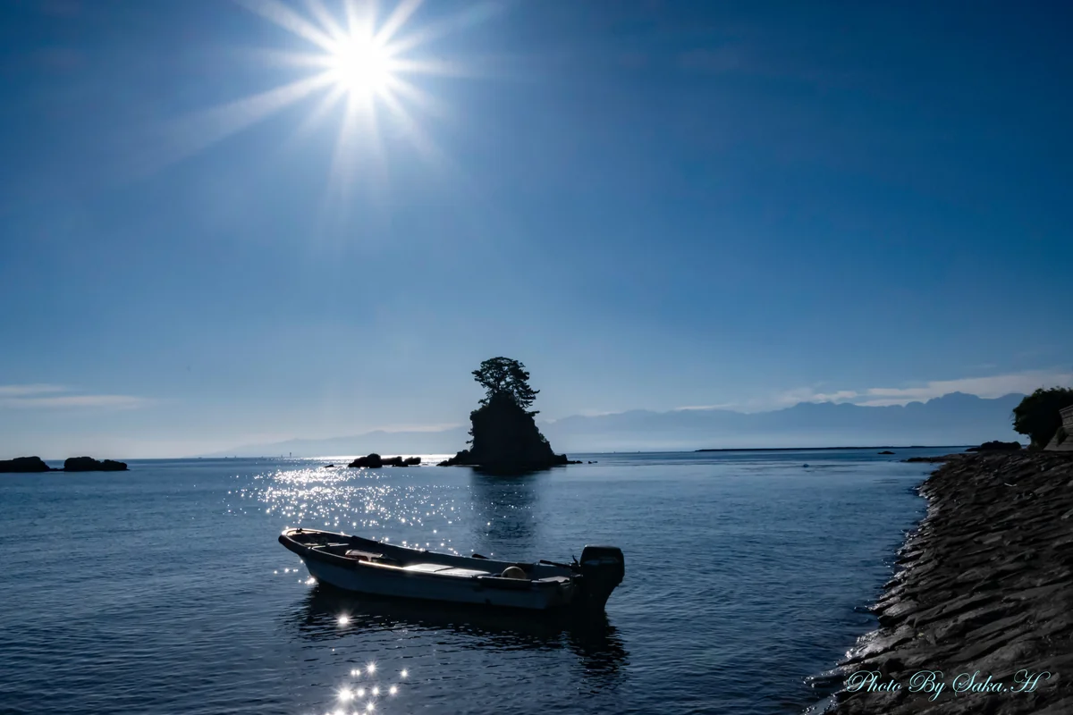 投稿写真：光浴びて