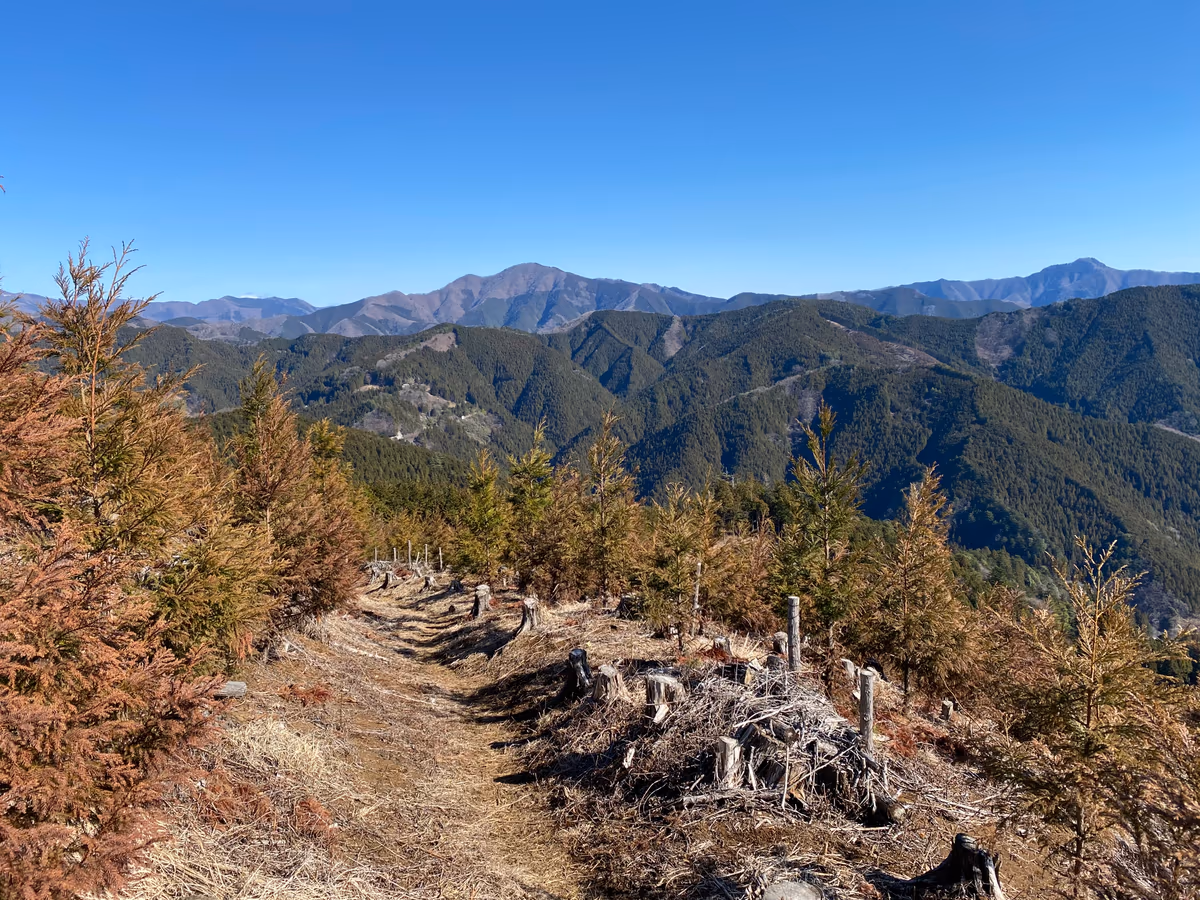 投稿写真：笛吹峠への山道