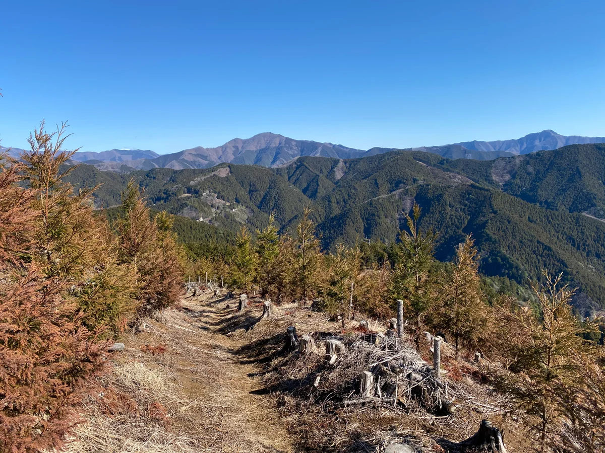 投稿写真：笛吹峠への山道