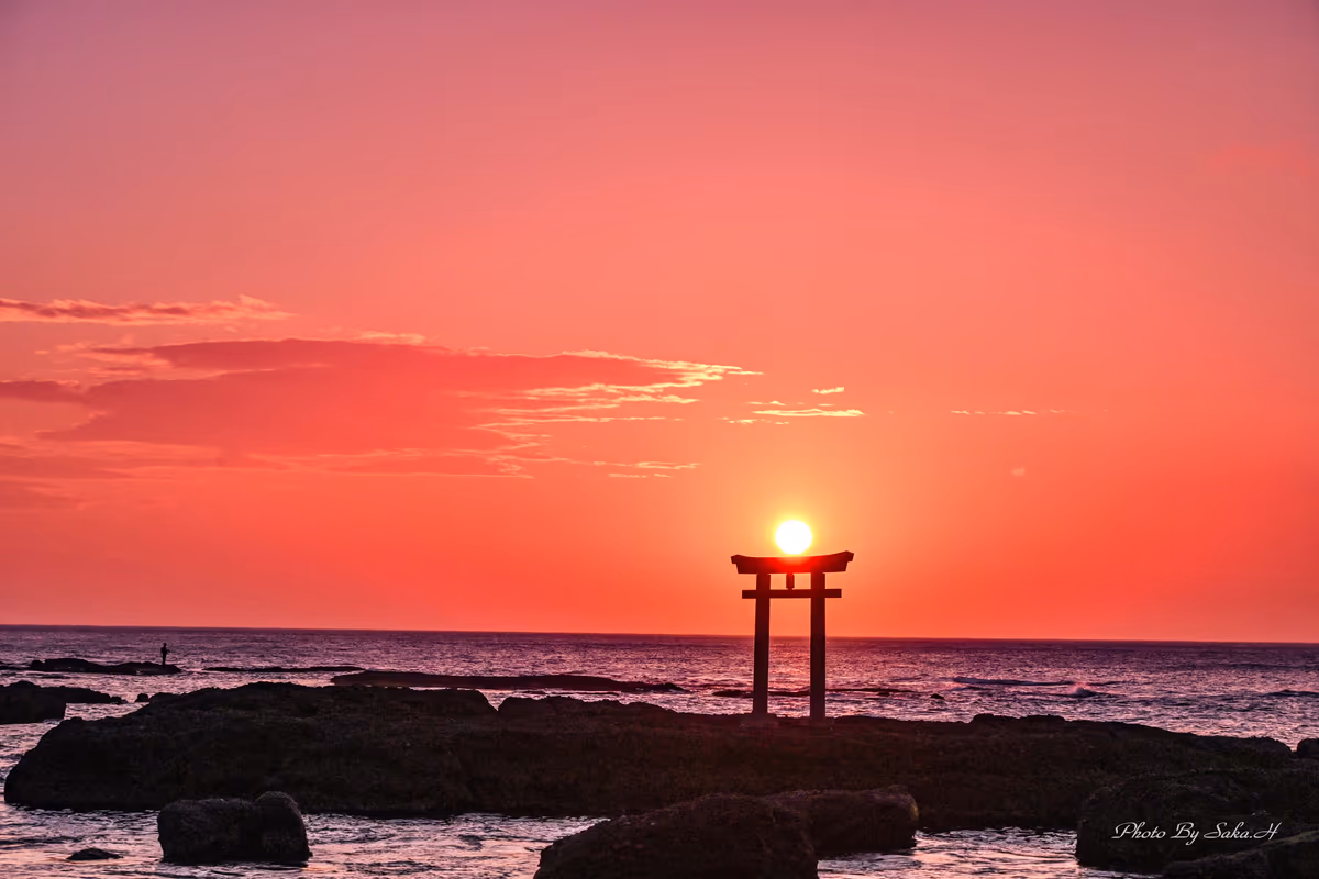 投稿写真：朝日を浴びて
