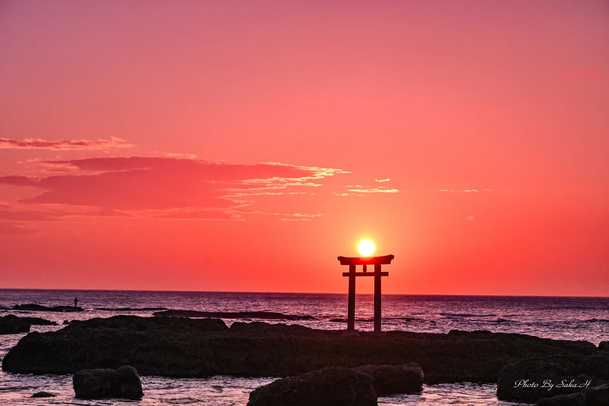 投稿写真：朝日を浴びて