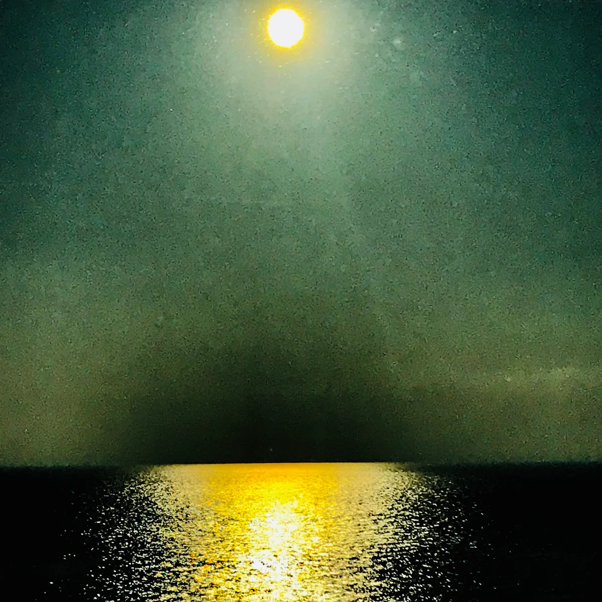 投稿写真：金色に染まる海